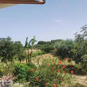 https://case-vacanze-baglio-sances.sicilyhotelsitaly.net
